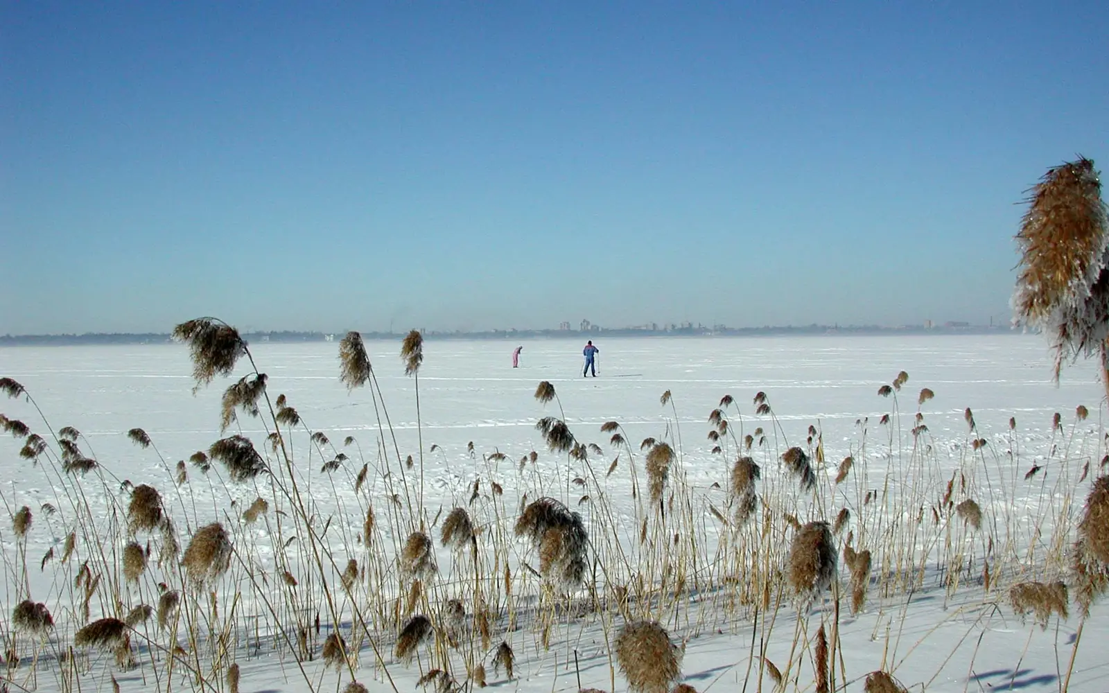 Сестрорецкий Разлив (сноукайт), Сестрорецк, Санкт-Петербург
