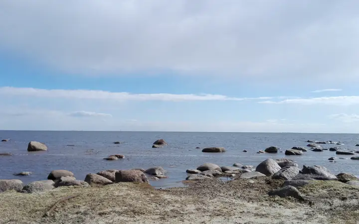 Зеленогорск
