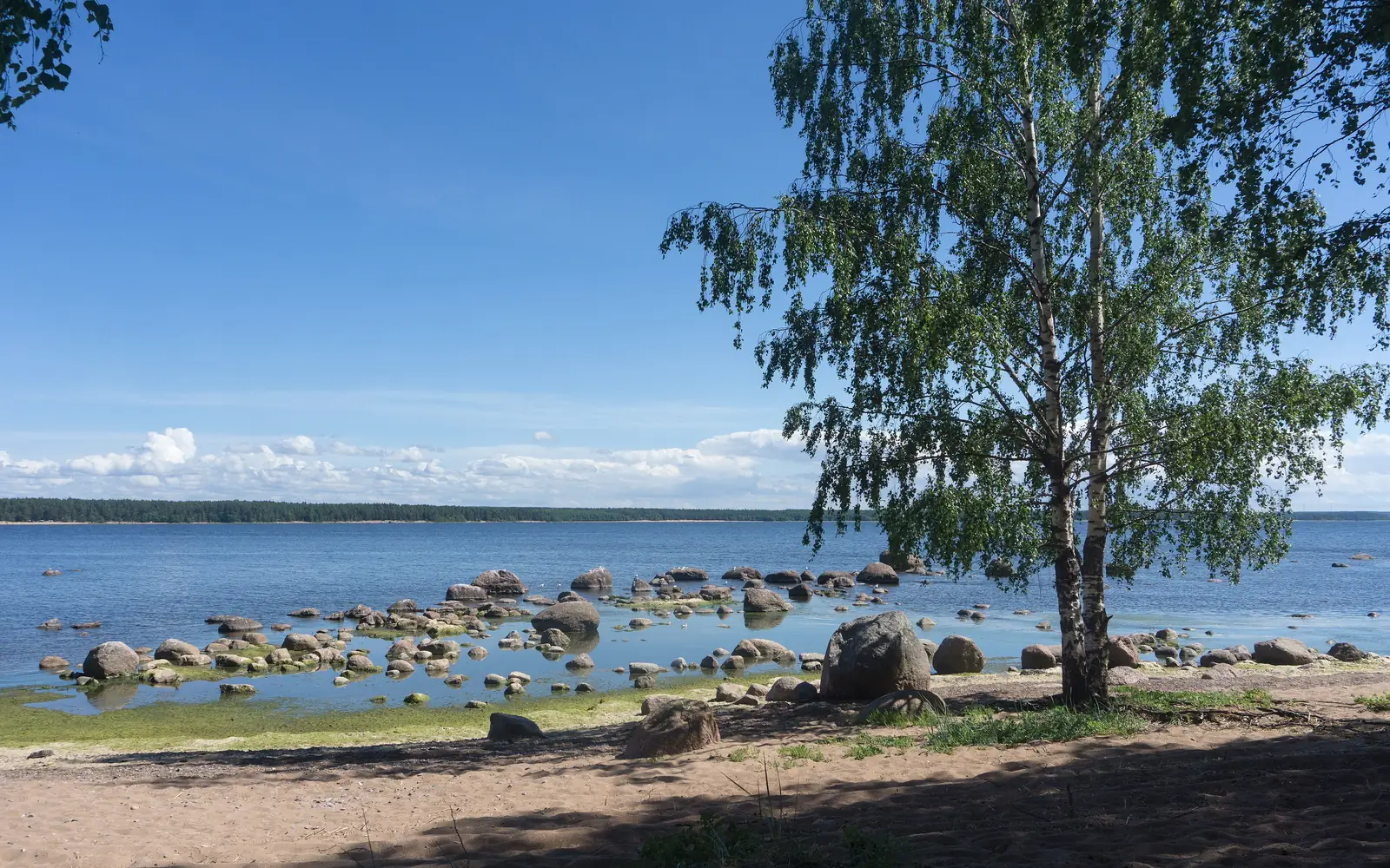 Yellow Bay (Zheltaya Bukhta), Near Primorsk, Gulf of Finland